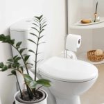 installation de toilette au sous-sol